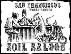 Soilsaloon_big